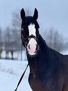 Неплохой вариант