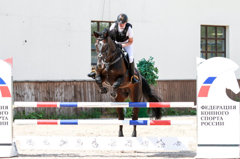 ЛАБРАДОР и Линкова Анна