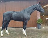 Для любителей красоты!