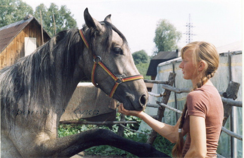 фото на "Зенит",лето 2006