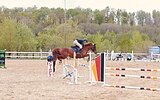 Кобыла 155 вх в спорт