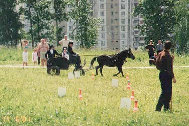 Открытый Чемпионат Москвы. КСК Нагорное.  Диксон. Драйвер - Колемасов.