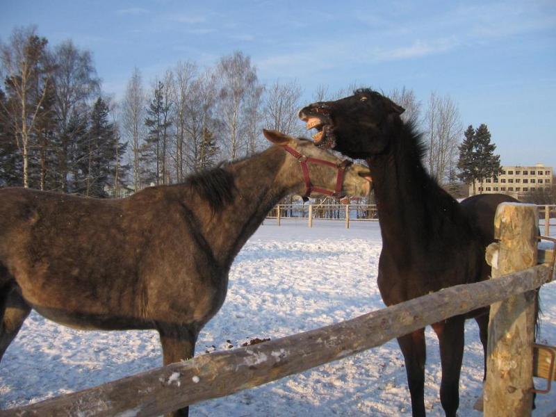 Я таак люблюю тебяя...