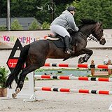 КОБЫЛА НА МАРШРУТЫ ДО 130 СМ 