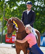 Ганноверская кобыла