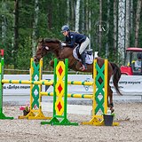 СКОРОСТНОЙ МЕРИН В КОНКУР