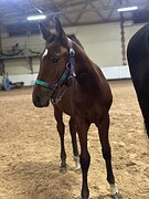 Коб. 2025 гр в Большой спорт!