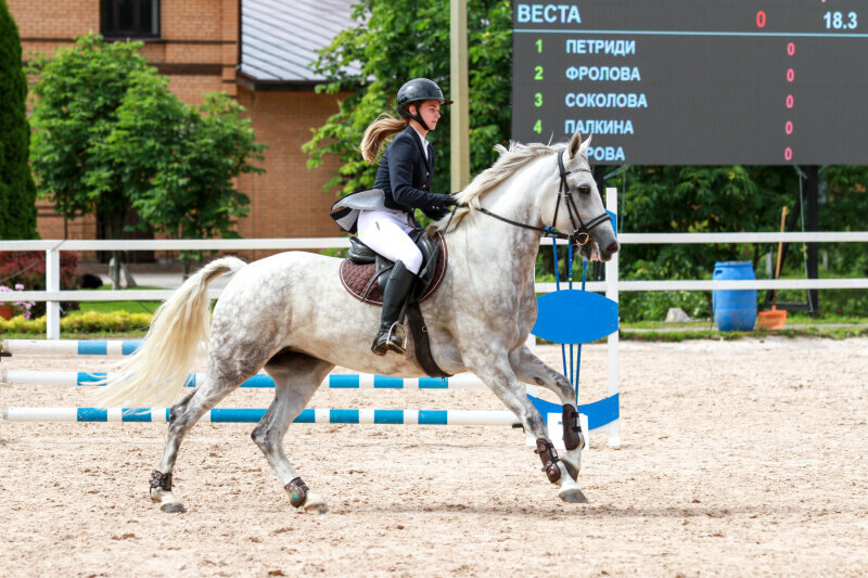 ВЕСТА-15 и Мошина Екатерина