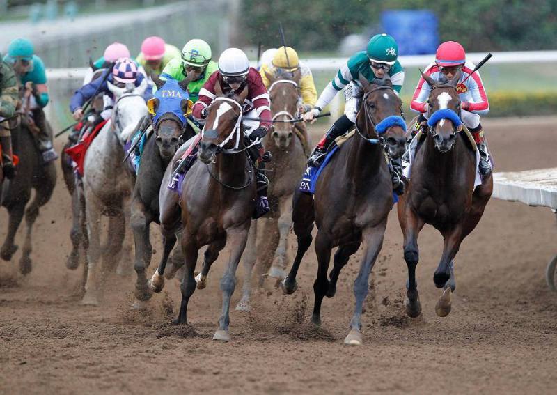 Ипподром Santa Anita Park, Breeders' Cup Distaff (Gr. 1) 2014 год.