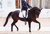 Выездка МП, троеборье 2*, кон