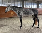 Хорошая цена