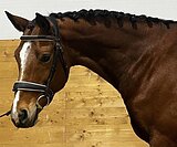 МАРШРУТЫ 80 ПОД РЕБЕНКОМ, ПП