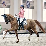 КОБЫЛА 10 ЛЕТ НА МП И СП