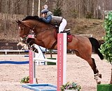 ОПЫТНЫЙ МЕРИН ПОД РЕБЕНКА