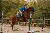 ЧК КОБЫЛА В СПОРТ И МАТКИ