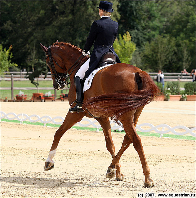 Capellmann,Nadine GER /Elvis VA    