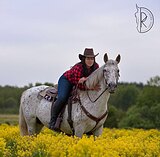 Кобыла хобби 2013 г.р.