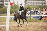 КОБЫЛА УЧИТЕЛЬ В ЛЮБУЮ ДИСЦ