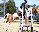 ПЕГАЯ В КОНКУР • ПОНИ-КЛАСС