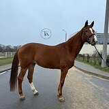 СТАРТОВЫЙ ОПЫТ ДО 125 СМ