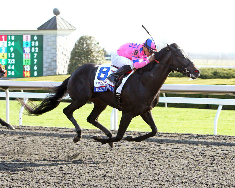 Ипподром Keeneland 2014 год, скачка Toyota Blue Grass Stakes - Gr. 1