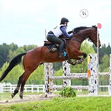 МЕРИН 9 ЛЕТ | СРОЧНО