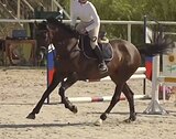 КОБЫЛА В КОНКУР • ВЫРУЧАЕТ