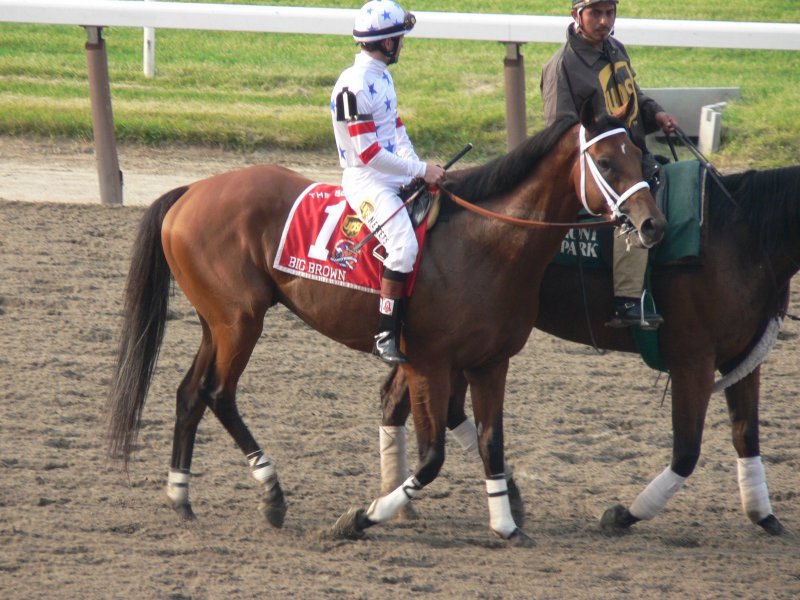 Ипподром Belmont Park 2008 год, последний этап Тройной Короны - Belmont Stakes 