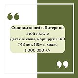 В Питере на этой неделе