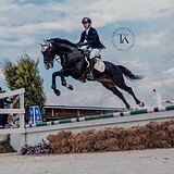 ЖЕРЕБЕЦ НА МАРШРУТЫ ДО 140 СМ