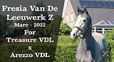 от For Treasure VDL 3 у.о