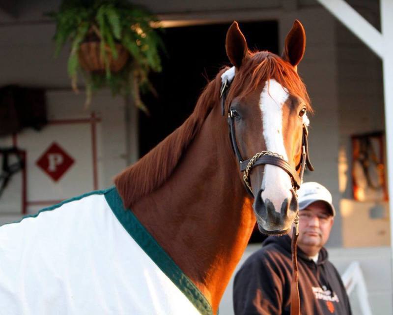 Паддок Churchill Downs 2014 год.