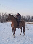 Будённовский жер. 2014 гр, 165 в