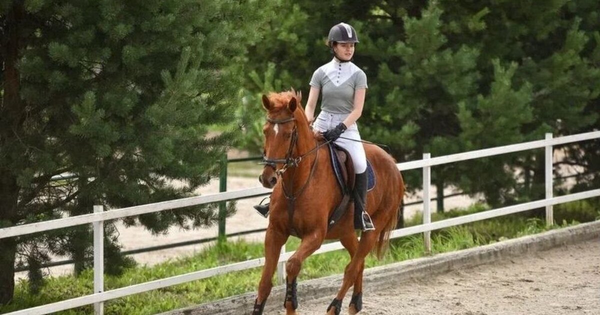 Виды спорта верховой езды