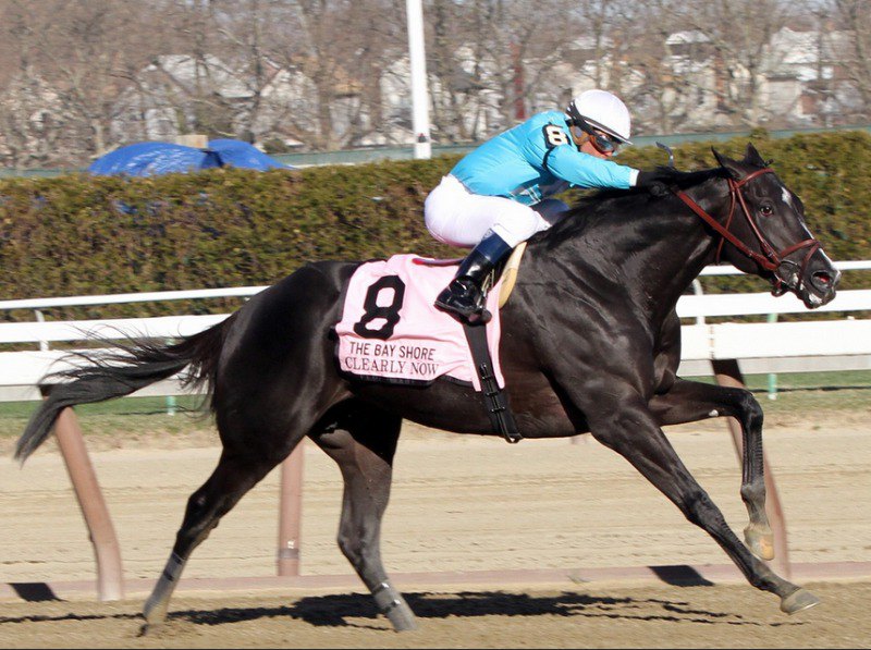 Ипподром Aqueduct, скачка Bay Shore Stakes (Gr. 3). 6 апреля 2013 года.