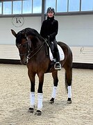 МЕРИН ПОД ЛЮБОГО ВСАДНИКА