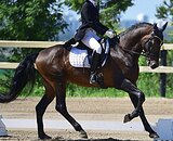 ИСПАНСКИЙ УЧИТЕЛЬ В ВЫЕЗДК