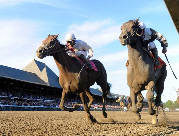 Fly Down и Afleet Express на скачке Travers Stakes. Saratoga 2010 год.