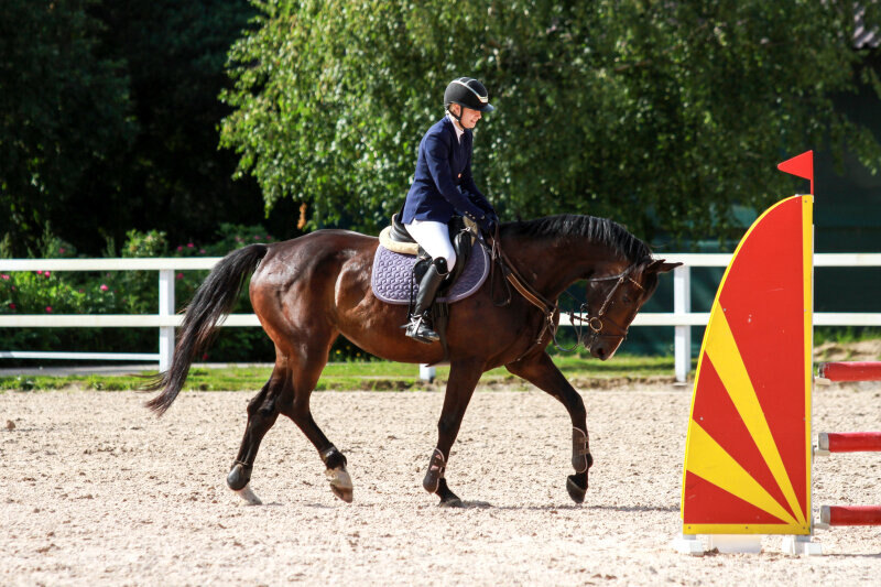 КРИСТА-19 и Фастовец Наталья