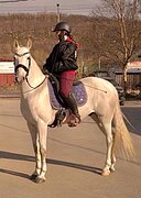 МАЛЫЙ ПРИЗ, МАРШРУТЫ 90 • ПР