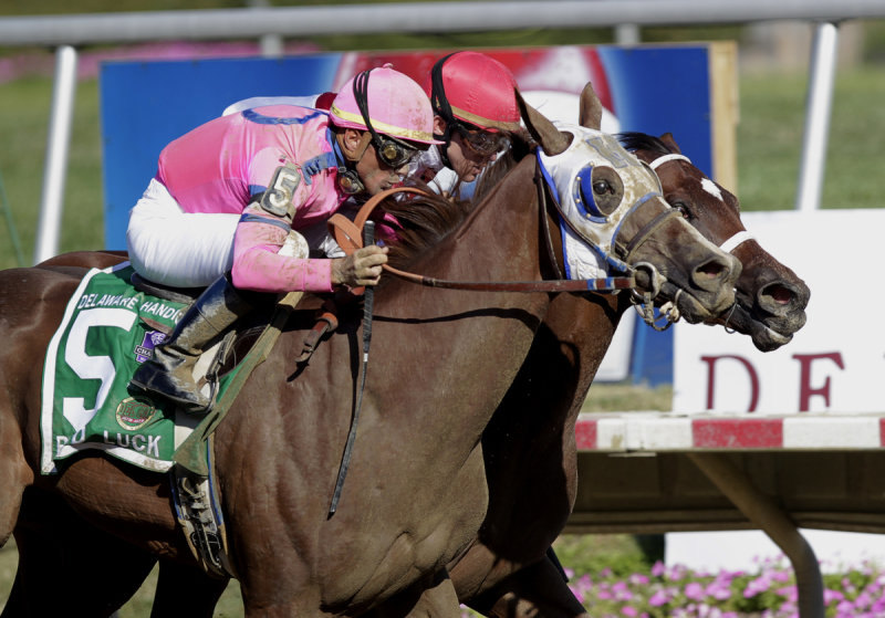 Ипподром Delaware Park 2011 год, скачка Delaware Handicap