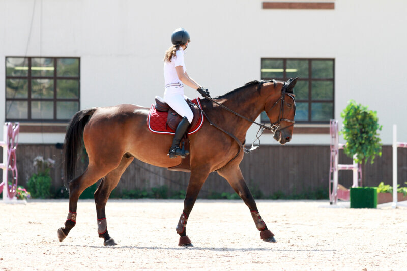 СКУЛАРИ Б-08 и Луцук Дарья
