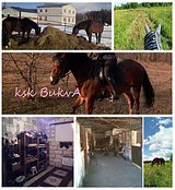 Постой, Тульская обл, есть берейтор конкур/выездка