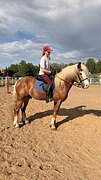 Русский тяжеловоз