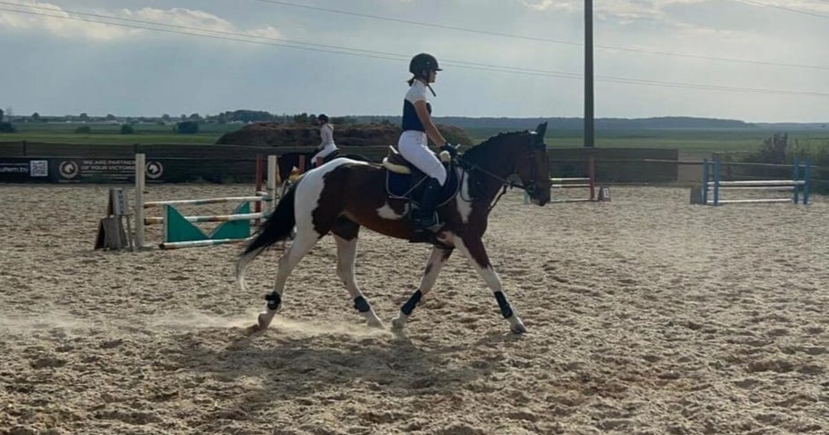 Описание фотографии конный спорт