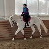 ВЕСТФАЛЬСКАЯ КОБЫЛА