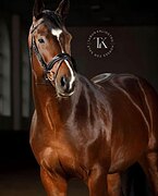 НА МАРШРУТЫ ДО 120 СМ