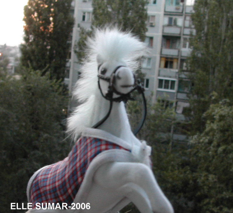 Маленькая лошадка над большим миром. 2006 год, отпуск в г. Волгограде