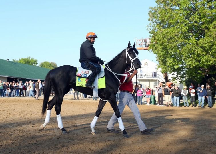 Ипподром Churchill Downs 2013 год, подготовка к первому этапу Тройной Короны - Kentucky Derby.