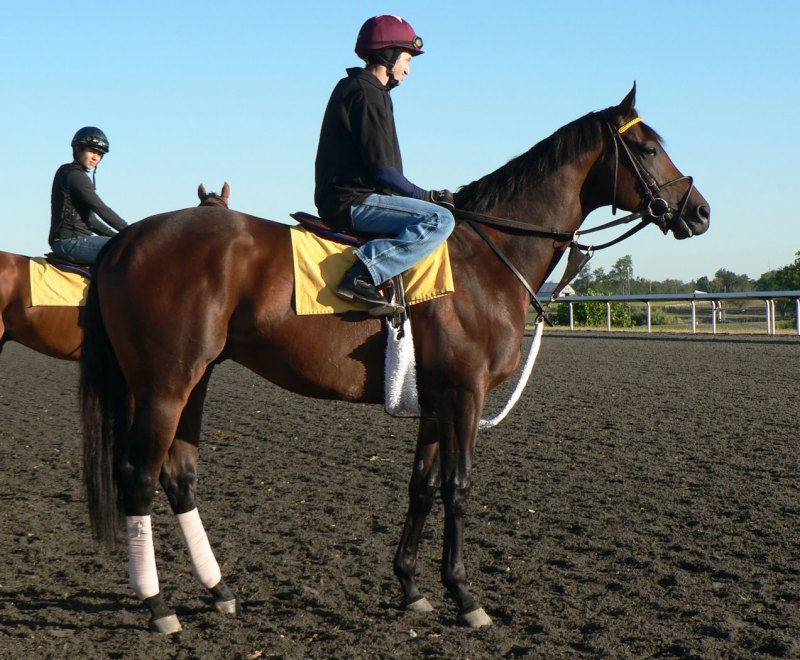 Keeneland. 4 сентября 2010 года.